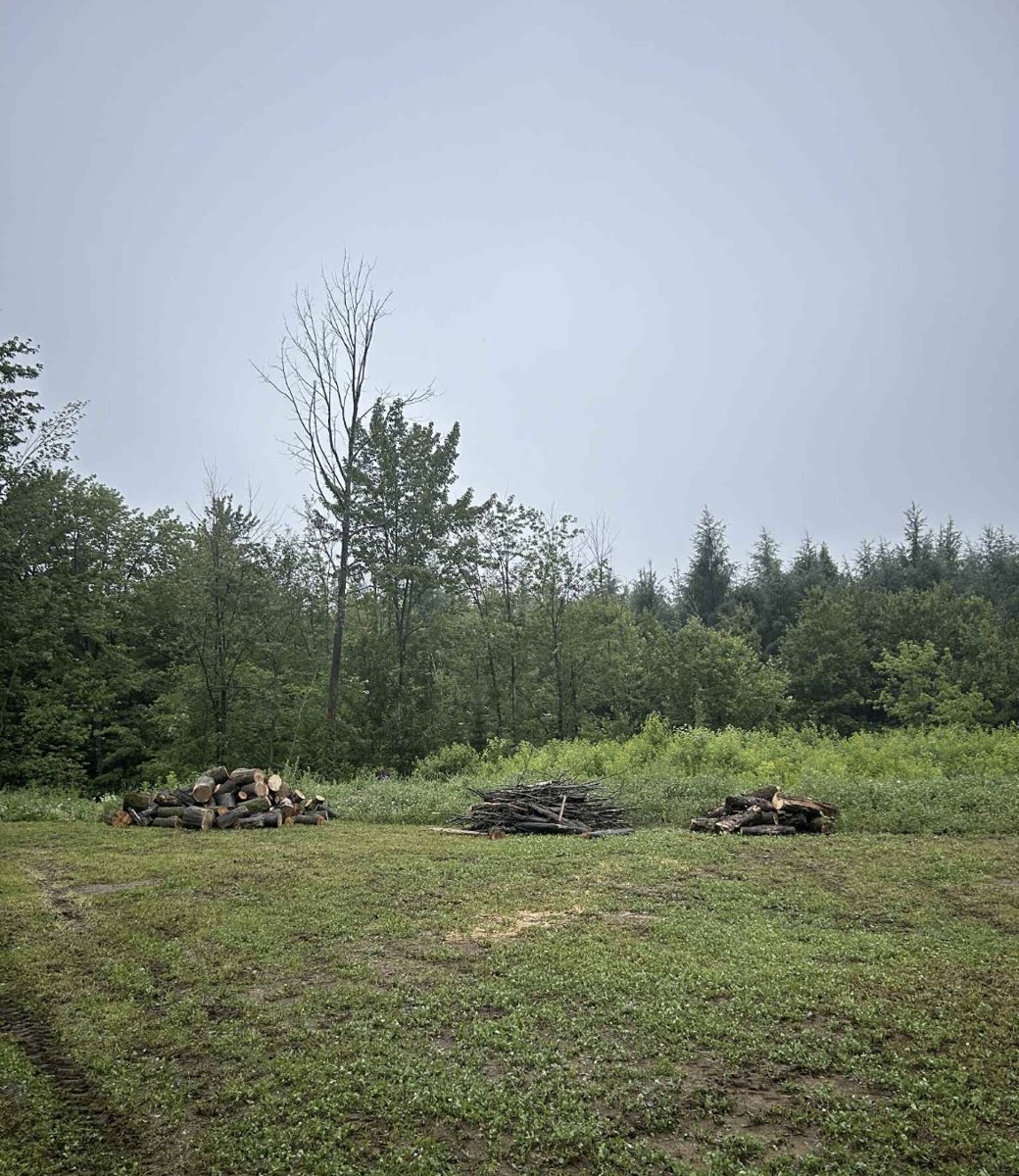 Nettoyage de terrain – ramassage de bois et débris – Gaillards Mauricie